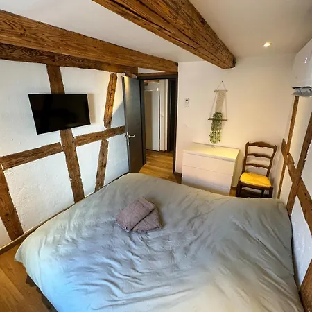 Maison Alsacienne Centre Alsace * Hilsenheim